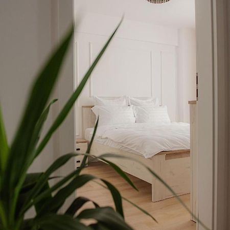 Modern Apartment In Timişoara Exteriör bild